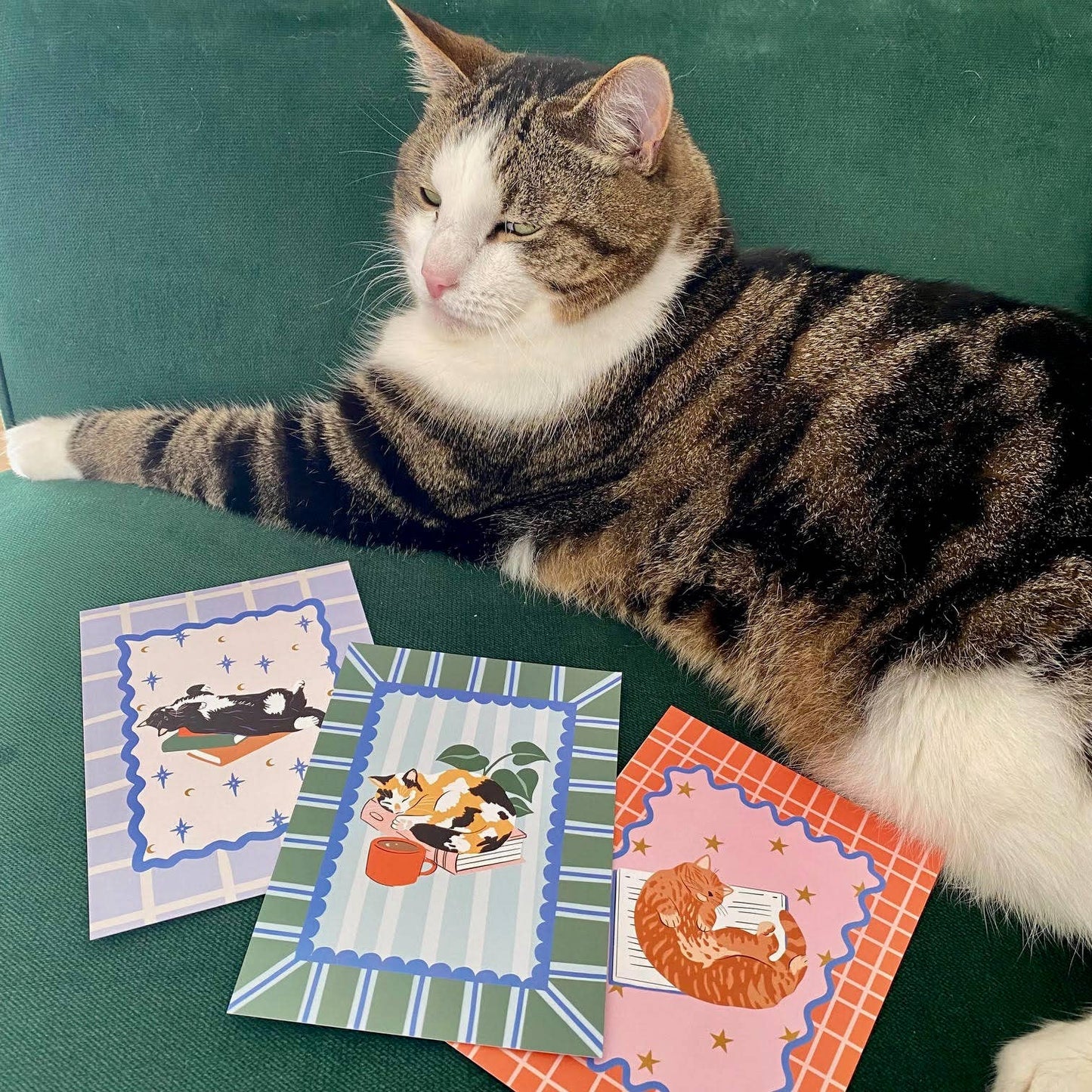 Postcard Bundle - Retailer's Pack
