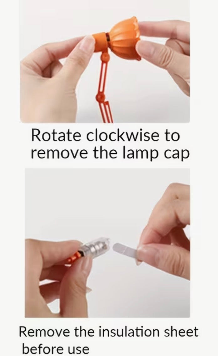 Book Lights